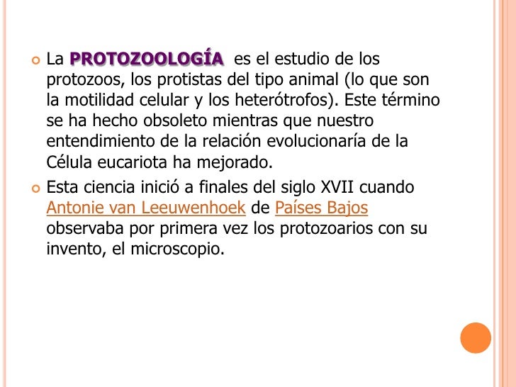 definicion de protozoologia